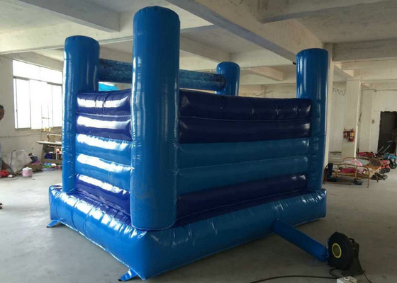 Elsa Temalı Şişme Bouncy Şatosu Mavi Renk Yırtılma Direnci Hızlı Teslimat