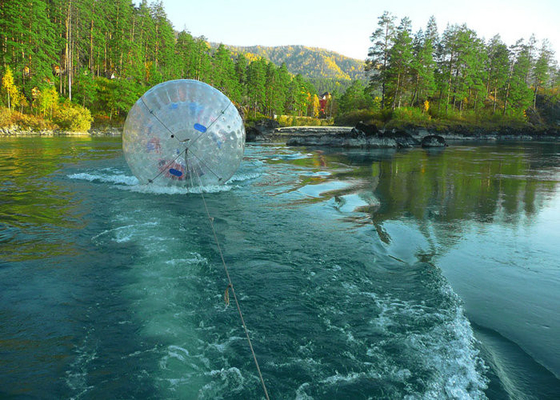Şeffaf PVC Havuz Hamster Ball Özel Renkli Basılı Sıcak Hava Kaynaklı Teknoloji